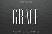 Font Bundle: 80+ professional fonts, a Font by Dene Studios (Thumbnail 15 of 31)
