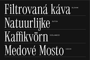 403 Mesapholic Modern Serif, a Serif Font by 403 Type Foundry (Thumbnail 9 of 16)