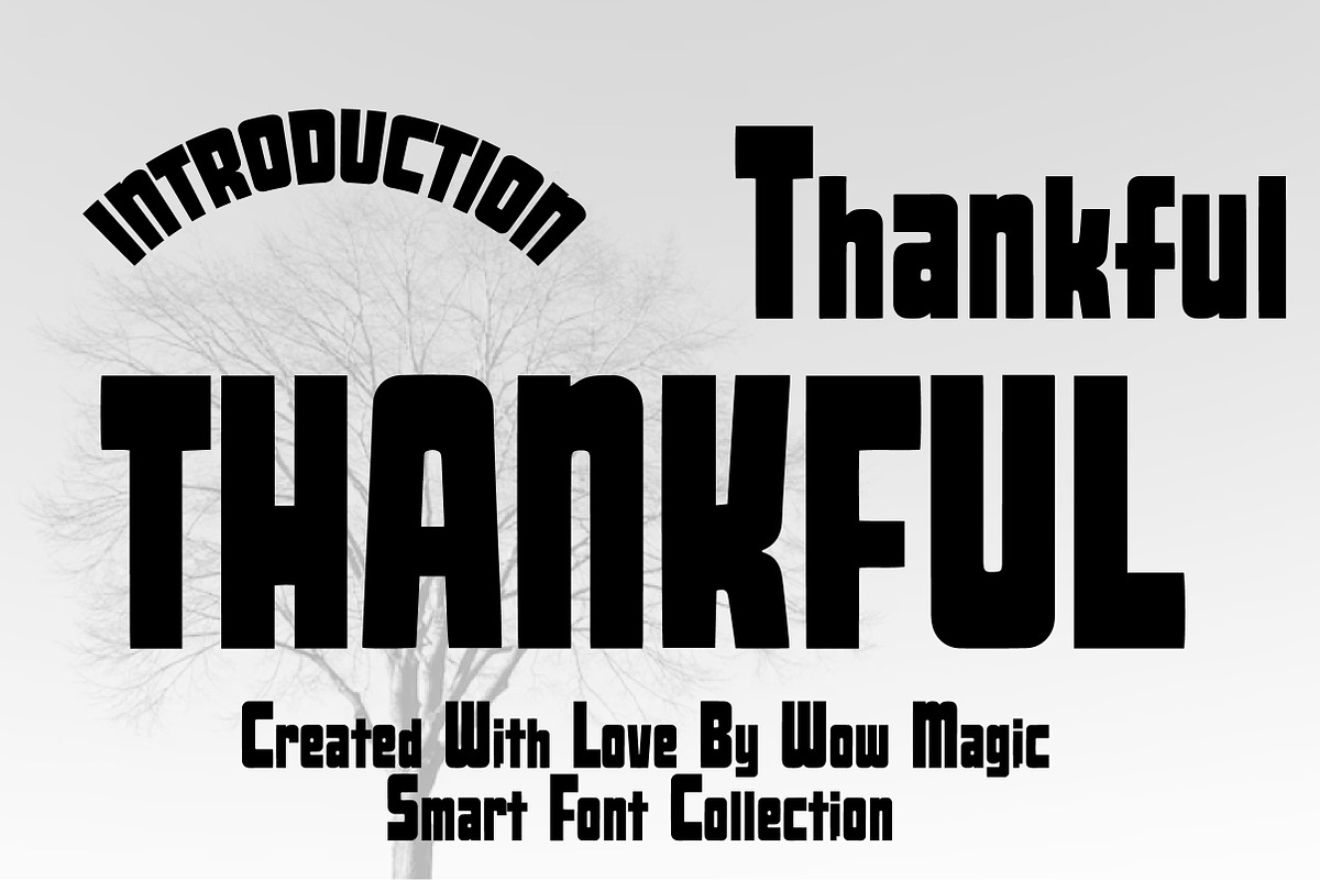 Retro, Vintage & Fun Font Collection, a Slab Serif Font by Wow Magic (Photo 5 of 20)