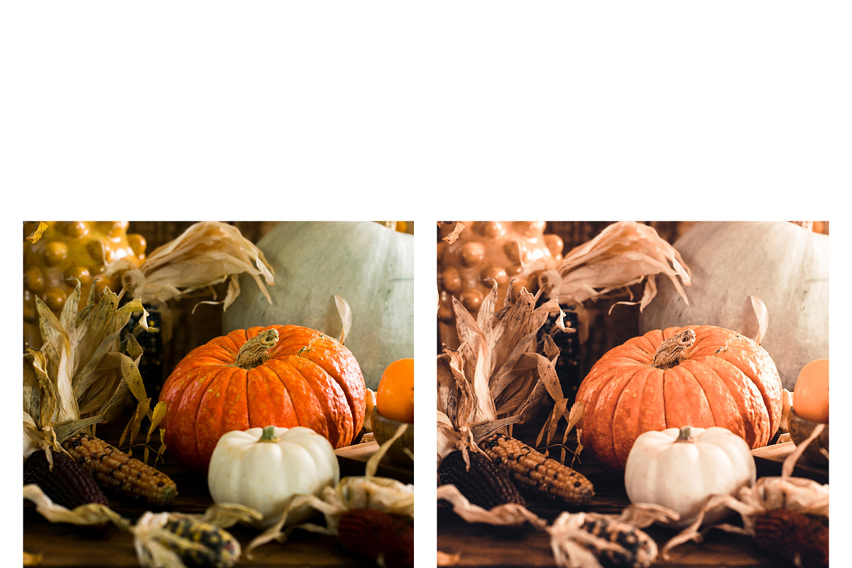 10 Pumpkin Pie Lightroom Presets, a Preset Add-On by MockTurtleStudio (Photo 7 of 8)