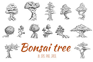 Bonsai trees