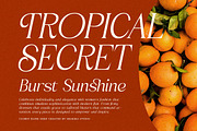 Clumsy Blink - Retro Serif Font, a Serif Font by Shakira Studio (Thumbnail 3 of 10)