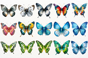 Floral Butterfly Clipart Summer PNG, an Animal Illustration by SugarCloudStudioArt (Thumbnail 5 of 8)