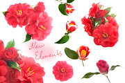 Camellia. Photography set, an Object Graphic by Pullia (Thumbnail 9 of 10)