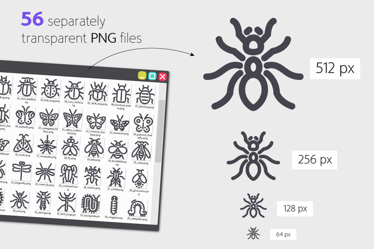 Insect Line Icons Set, an Outline Icon by Voysla's Shop (Photo 3 of 4)