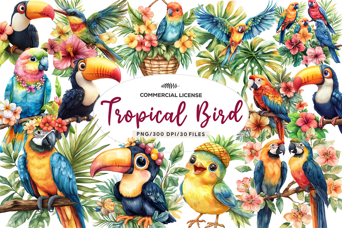 Tropical Bird Png, Jungle Bird Clipa, an Illustration by CreationArt (Photo 1 of 9)