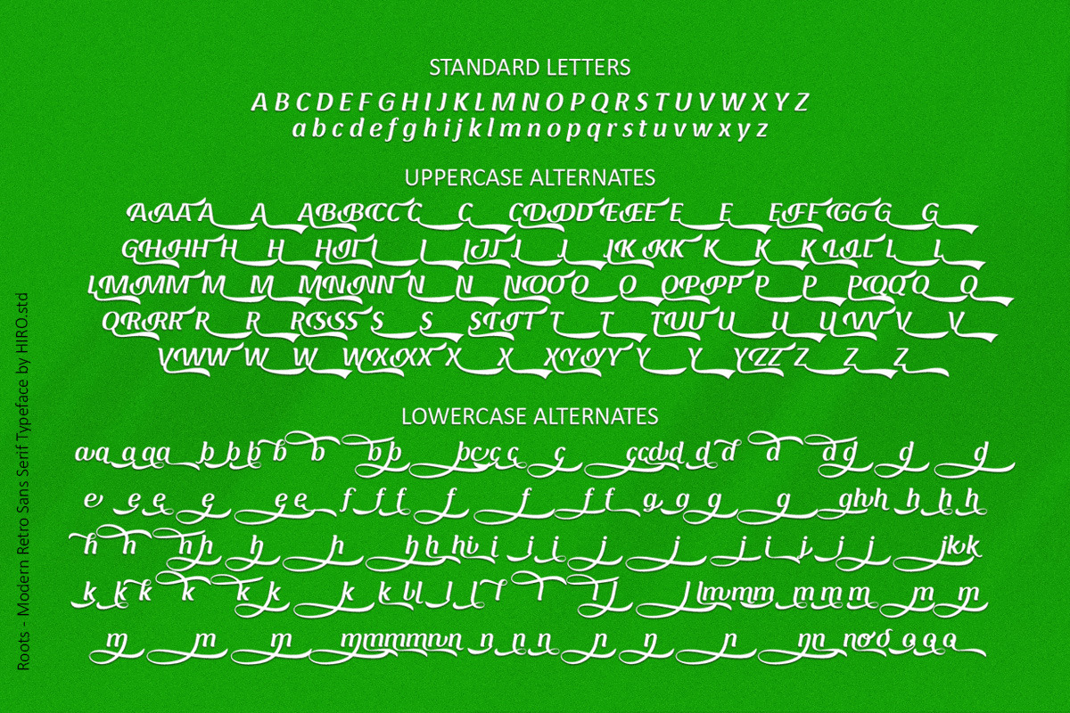 Roots - Modern Retro Font, a Script Font by HIRO.std (Photo 9 of 11)