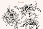 Flower Secret, a Decorative Illustration by Ekaproeka (Thumbnail 6 of 8)