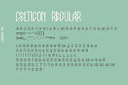 Celticon Font Family, a Blackletter Font by Sentavio (Thumbnail 7 of 7)