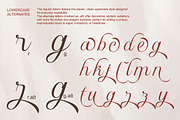 Denamola - Elegant Script Font, a Serif Font by Qweera Studio (Thumbnail 10 of 12)