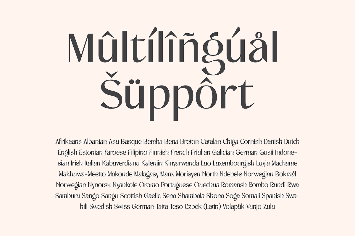 Volkrome, a Sans Serif Font by Megatype (Photo 18 of 18)