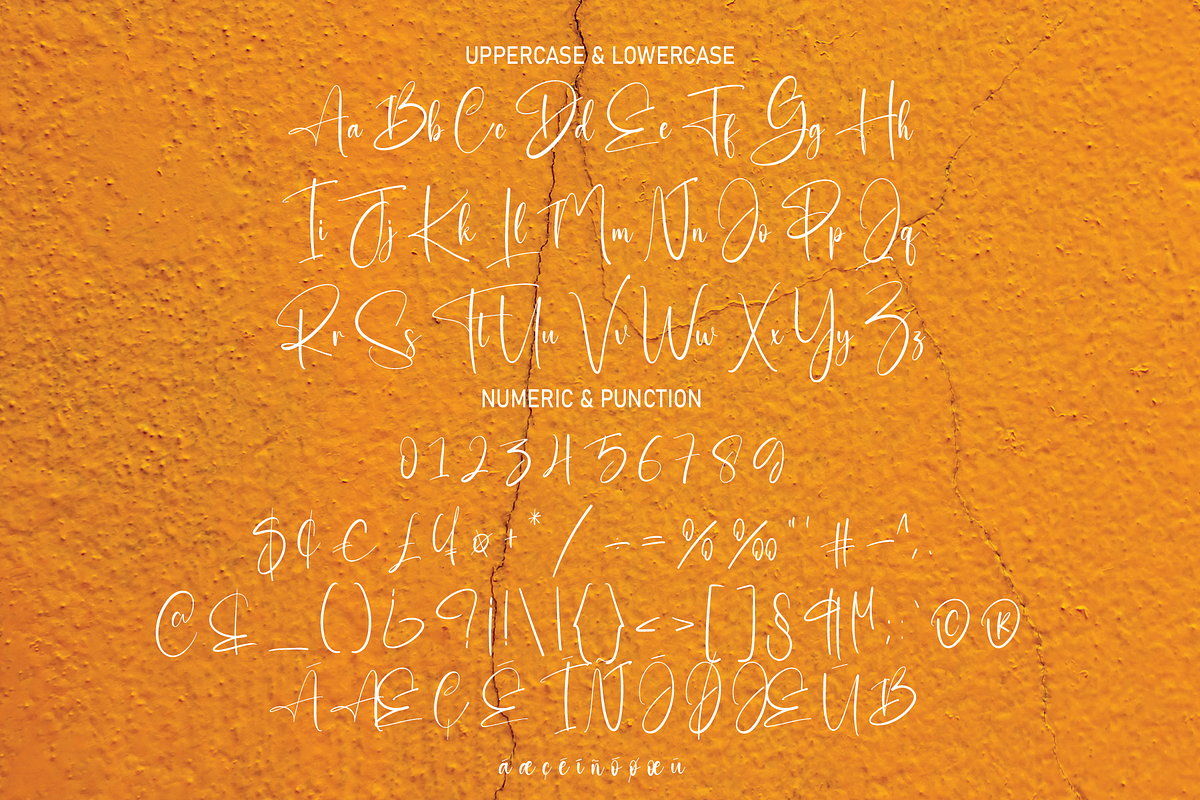 Interesting | Script Font, a Script Font by Scratchones (Photo 6 of 8)