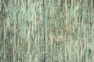 Aged Green Painted Wood Texture with Cracked and Peeling Paint, a Nature Photo by GoodGoods