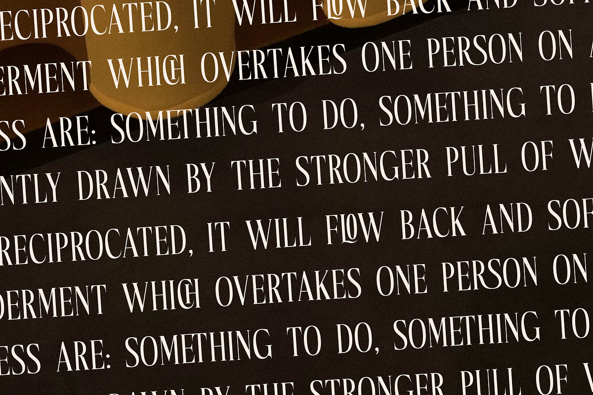 Mocnetla Display Serif Font, a Serif Font by Storytype Studio (Photo 8 of 15)
