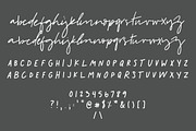 Charleston | Font Duo + Florals, a Sans Serif Font by Jen Wagner Co (Thumbnail 2 of 8)