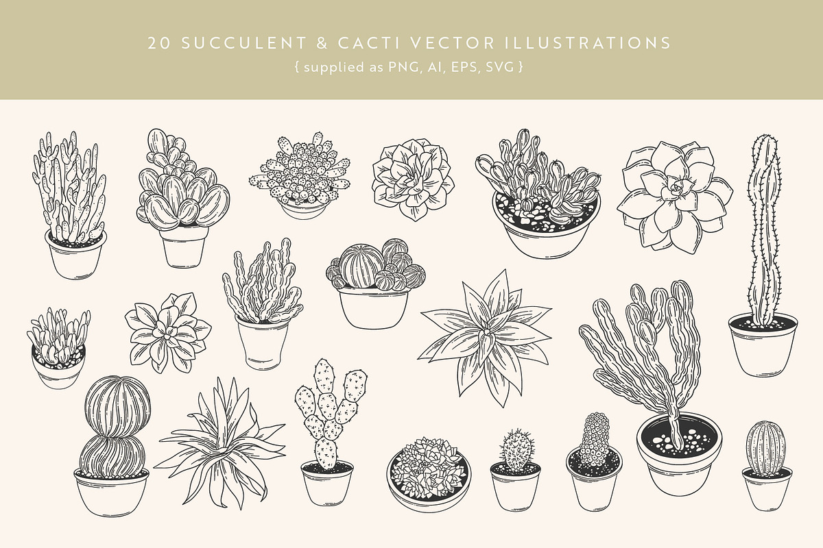 Succulents Vector Illustrations, a Decorative Illustration by Emma Webb Studio (Photo 2 of 6)