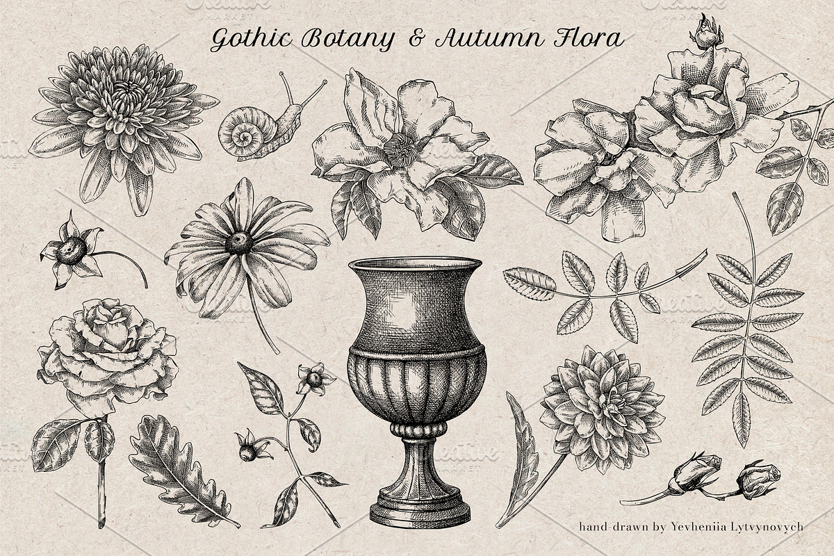 Autumn Heritage Botanical Collection, a Seasonal Illustration by Yevheniia (Photo 4 of 13)