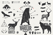 Hand Drawn Wild Animal Pack, an Animal Illustration by Noka Studio (Thumbnail 1 of 5)