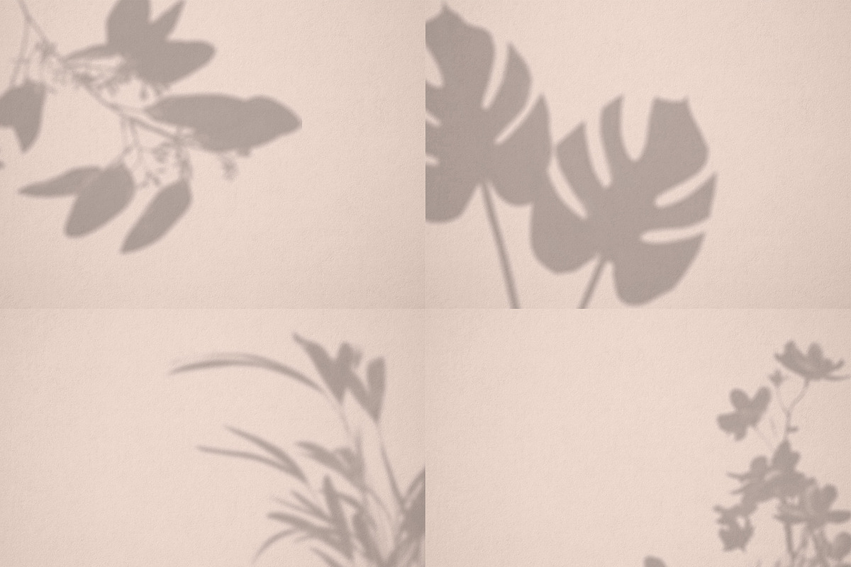 Botanical Shadow Overlays Bundle, a Graphic by denofdreamers (Photo 4 of 4)
