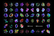 50 Holographic 3D Abstract Shapes, an Object Graphic by assetpro.design (Thumbnail 12 of 12)