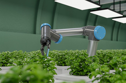 Robotic in agriculture futuristic concept,Agriculture technology and Farm autom