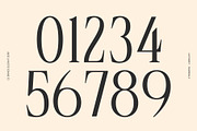 CS Brings – Elegant Serif Font, a Serif Font by Craft Supply Co. (Thumbnail 5 of 8)