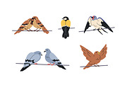 Different birds sitting on wires set, an Animal Illustration by Good Studio (Thumbnail 2 of 5)