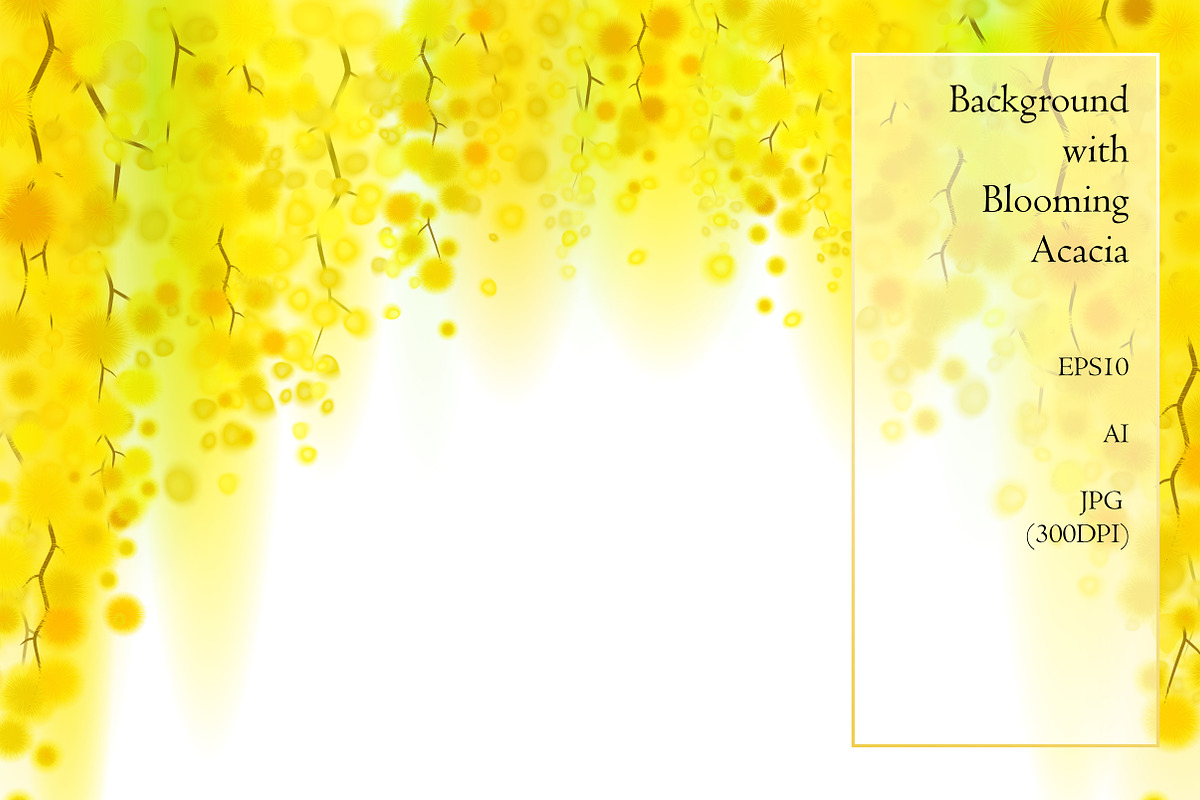 Rachel. Wisteria and Acacia, a Decorative Illustration by artabramova (Photo 4 of 9)