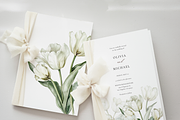 Tulip Whisper - Watercolor Clipart, an Illustration by ThaismotaCreativeCo (Thumbnail 2 of 10)
