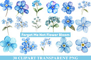 Forget Me Not Flower Bloom Clipart, an Illustration by cherrydesign (Thumbnail 1 of 4)
