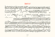 Riot, a Handwritten Font by True Story Letterworks (Thumbnail 3 of 10)