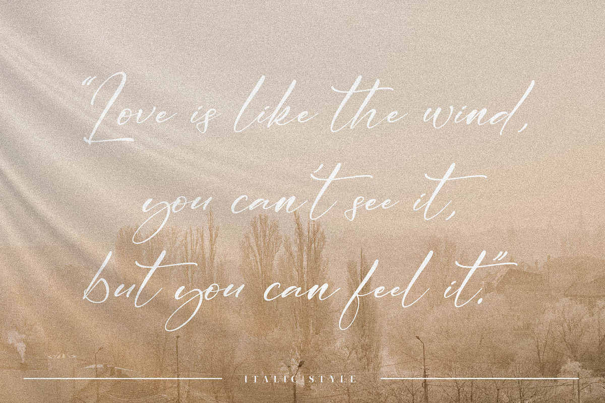 Cicaero, a Script Font by Integritype Studio (Photo 4 of 15)