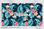 Tropicana, Tropical Print Patterns, a Pattern Graphic by ASTUDIO (Thumbnail 7 of 10)