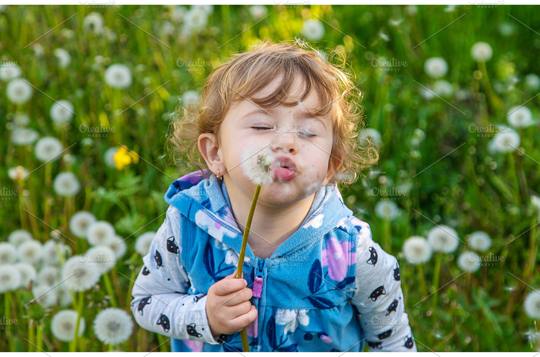 A child in nature blows a dandelion, a Nature Photo by yanadjana