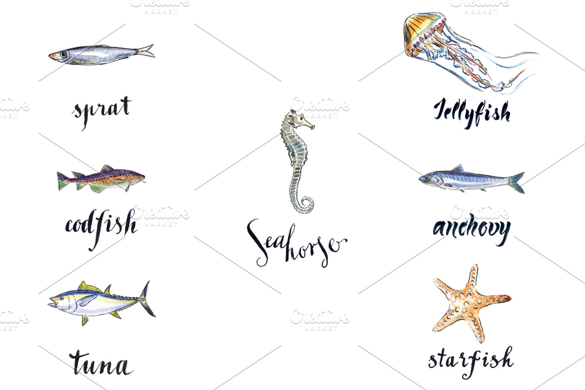 Watercolor sea animals, an Animal Illustration by miminoshka (Photo 3 of 9)