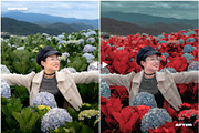 SURREAL RED COLOR GRADING LR PRESET, a Preset Add-On by ASDF Graphics (Thumbnail 9 of 10)