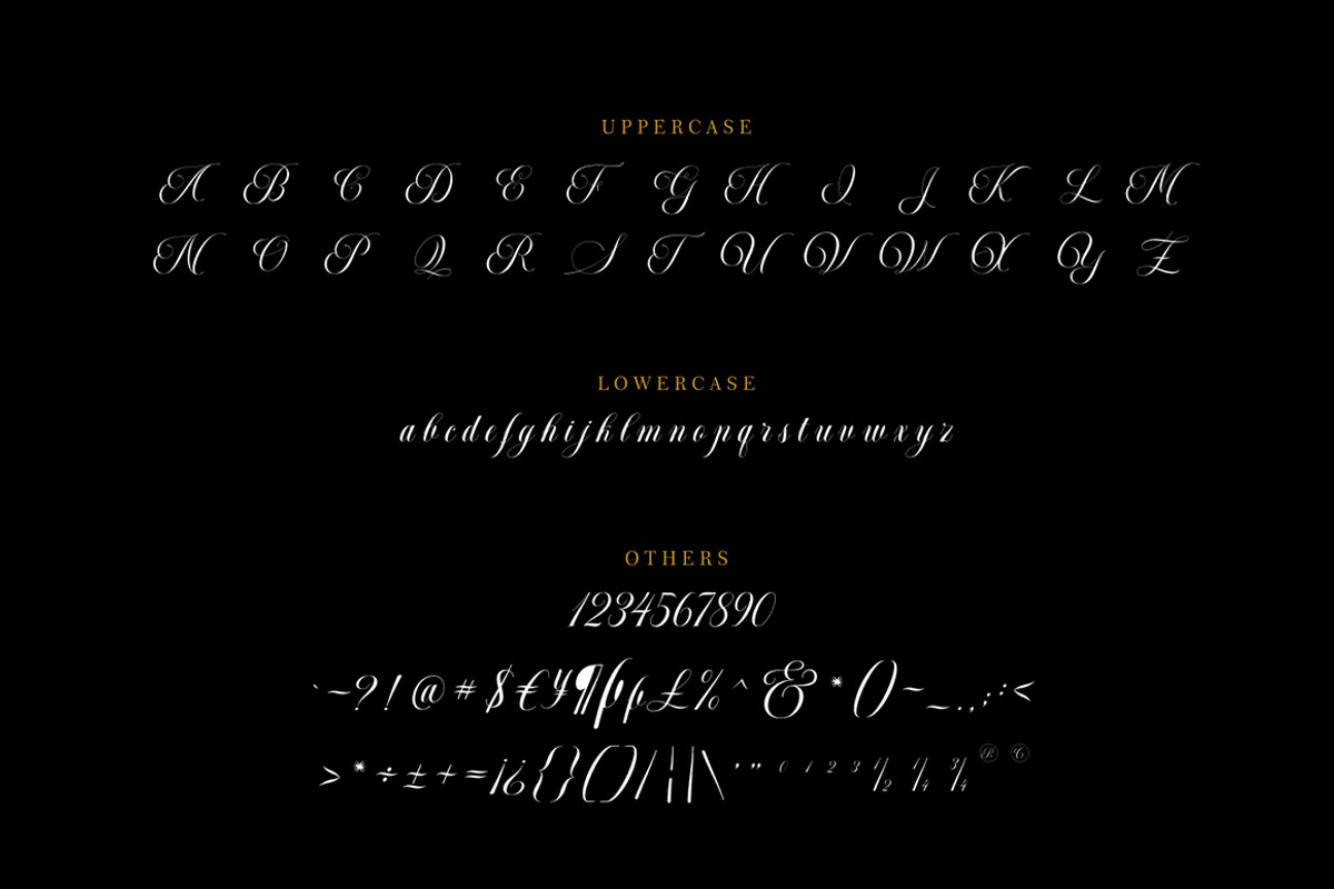Moritza Script With Ornament, a Script Font by Max.co Studio (Photo 9 of 12)