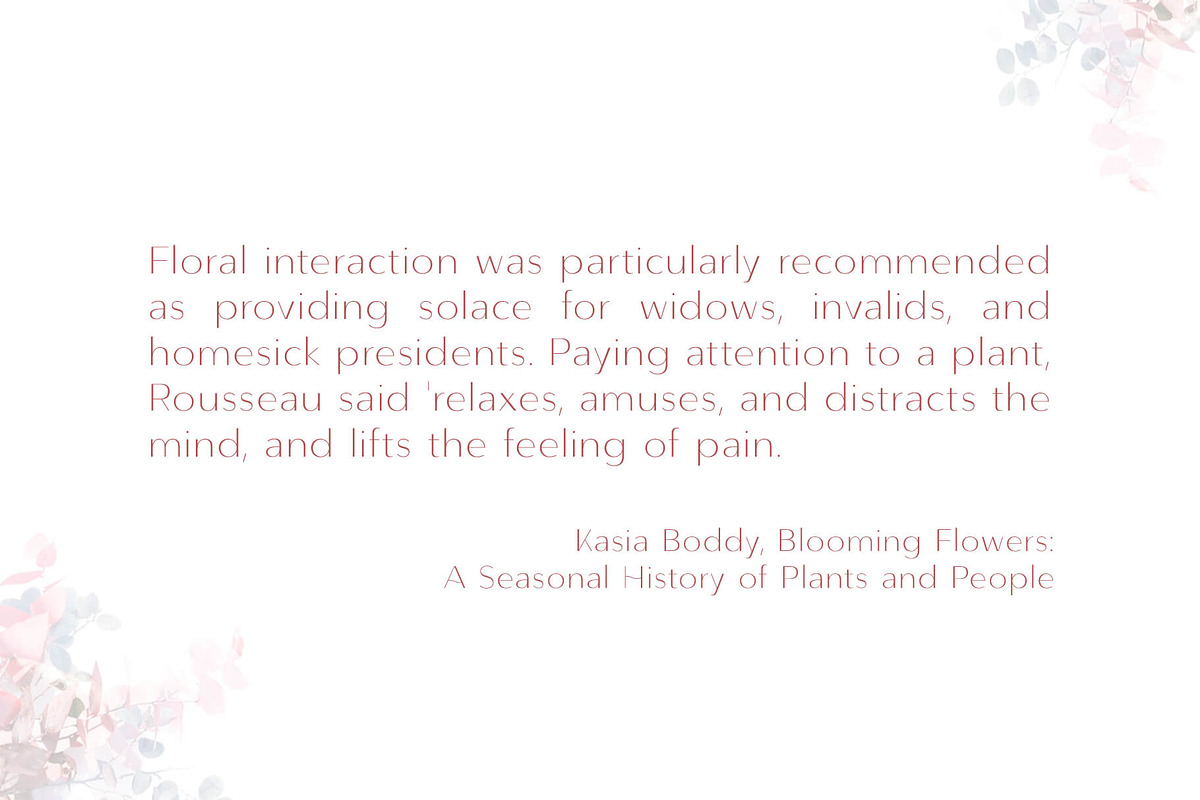 Lunates Font Family – Sans Serif, a Sans Serif Font by RC graphics (Photo 8 of 9)