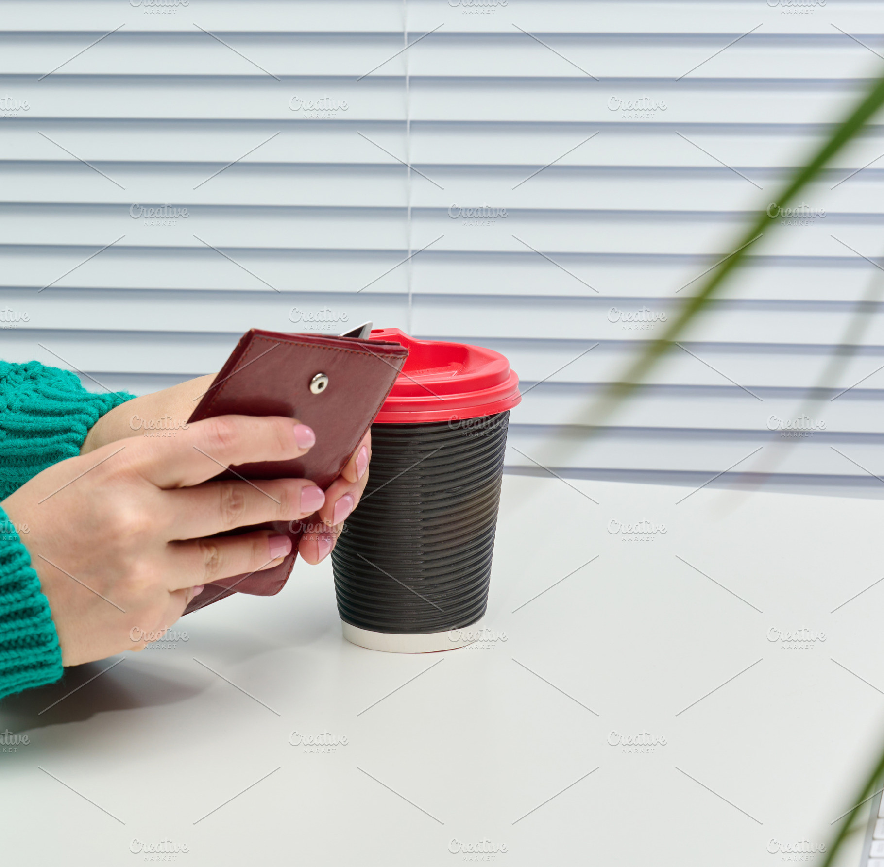 Female hands in a green sweater holding an open wallet near a pa, a Person Photo by ndanko