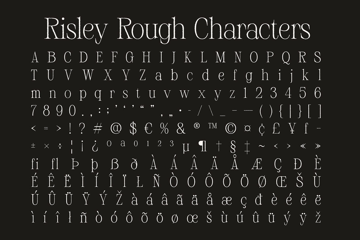Risley Rough, a Serif Font by Craft Supply Co. (Photo 8 of 8)