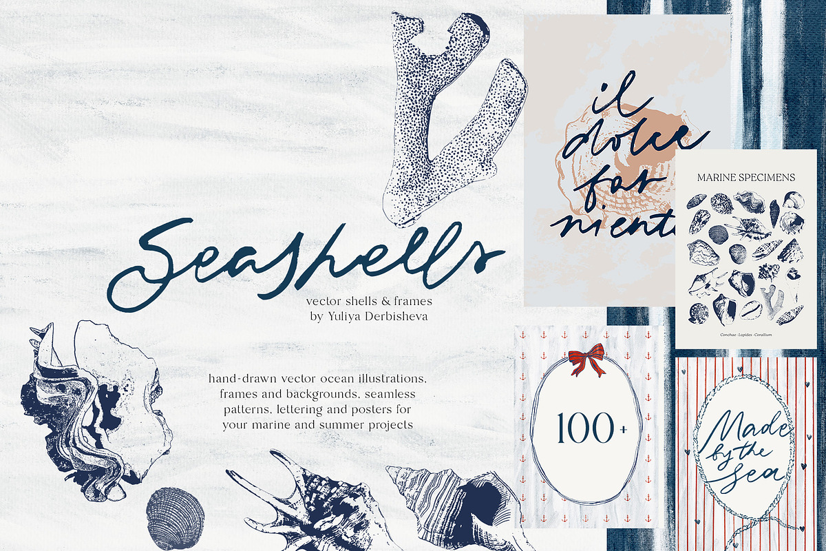Seashells vector illustrations frame, an Object Graphic by Yuliya Derbisheva (Photo 1 of 13)