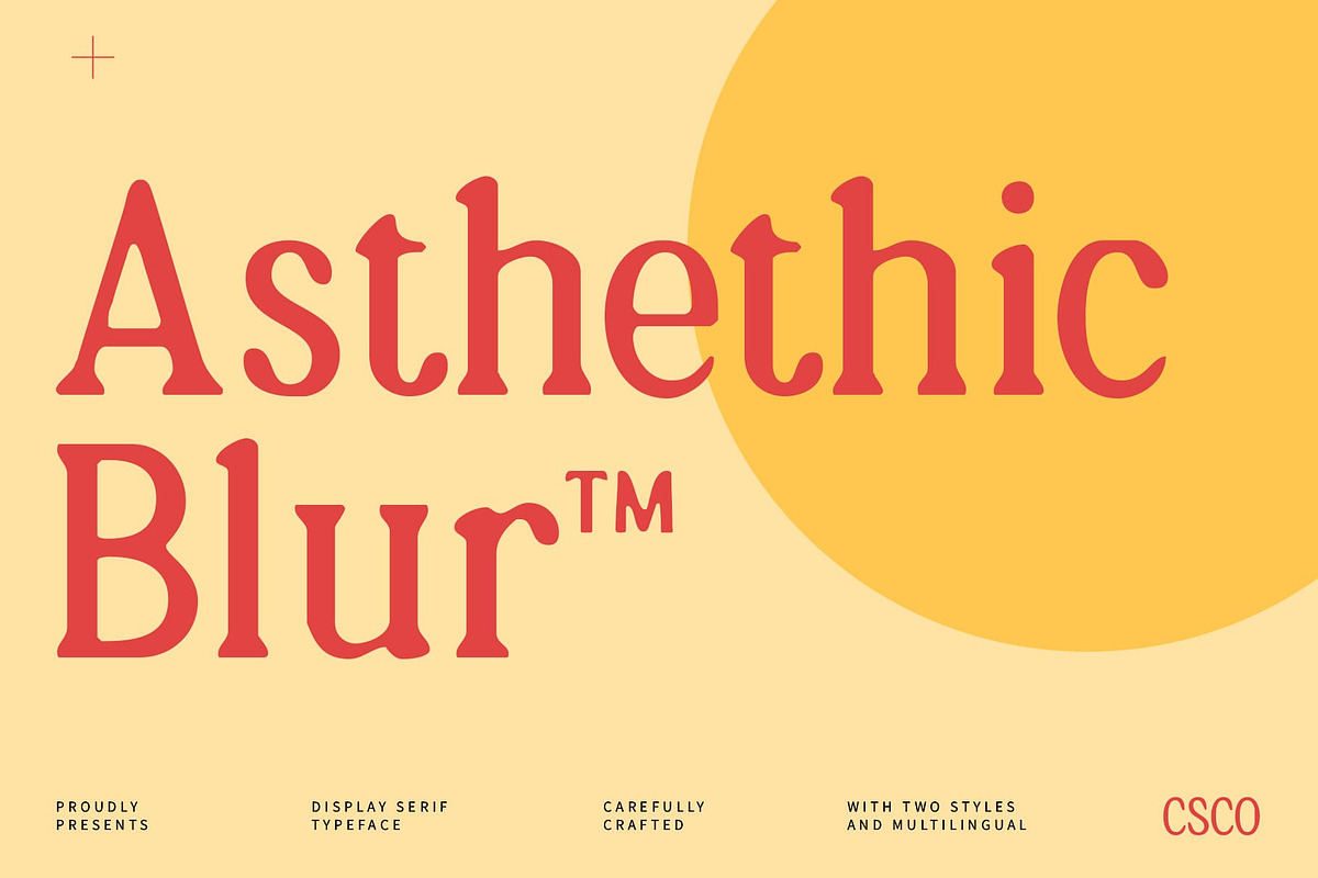 Asthetic Blur, a Serif Font by Craft Supply Co. (Photo 1 of 8)