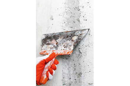Hand plasterer holds spackle knife, an Industrial Photo by Alexander-Piragis