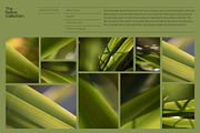 Natural textures - Green edition v02, a Texture Graphic by Haehae photography (Thumbnail 2 of 7)