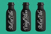 Berishye Elegant Script Font, a Script Font by timelesstype.co (Thumbnail 3 of 20)
