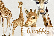 Watercolor Giraffes Clip Art Set, an Animal Illustration by Tati Bordiu (Thumbnail 2 of 4)