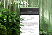 HR Resume Template, HR Resume, a Resume Template by Career Canvas (Thumbnail 11 of 11)