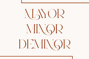 Mayor - Stylish Serif Font, a Serif Font by Aqeel_Art (Thumbnail 7 of 12)