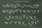 Elyaris | Stylish Serif, a Serif Font by Sealoung (Thumbnail 16 of 17)