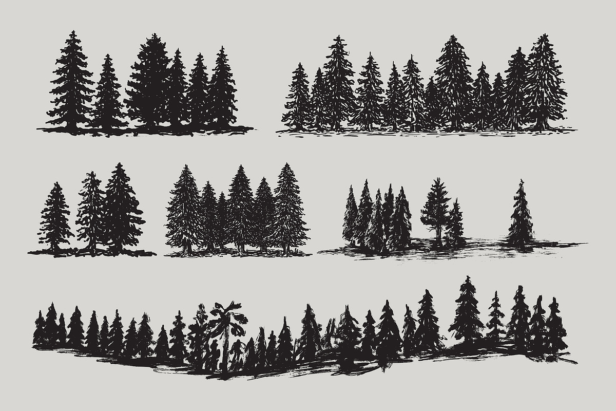 Mountain Forest Hand-drawn Elements, an Illustration by Artolabs (Photo 6 of 10)
